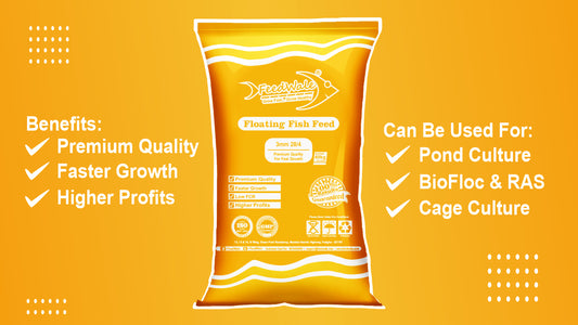 FeedWale 3mm Fish Feed