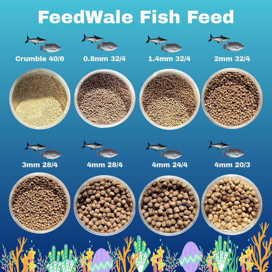 Fish Feed Sizes