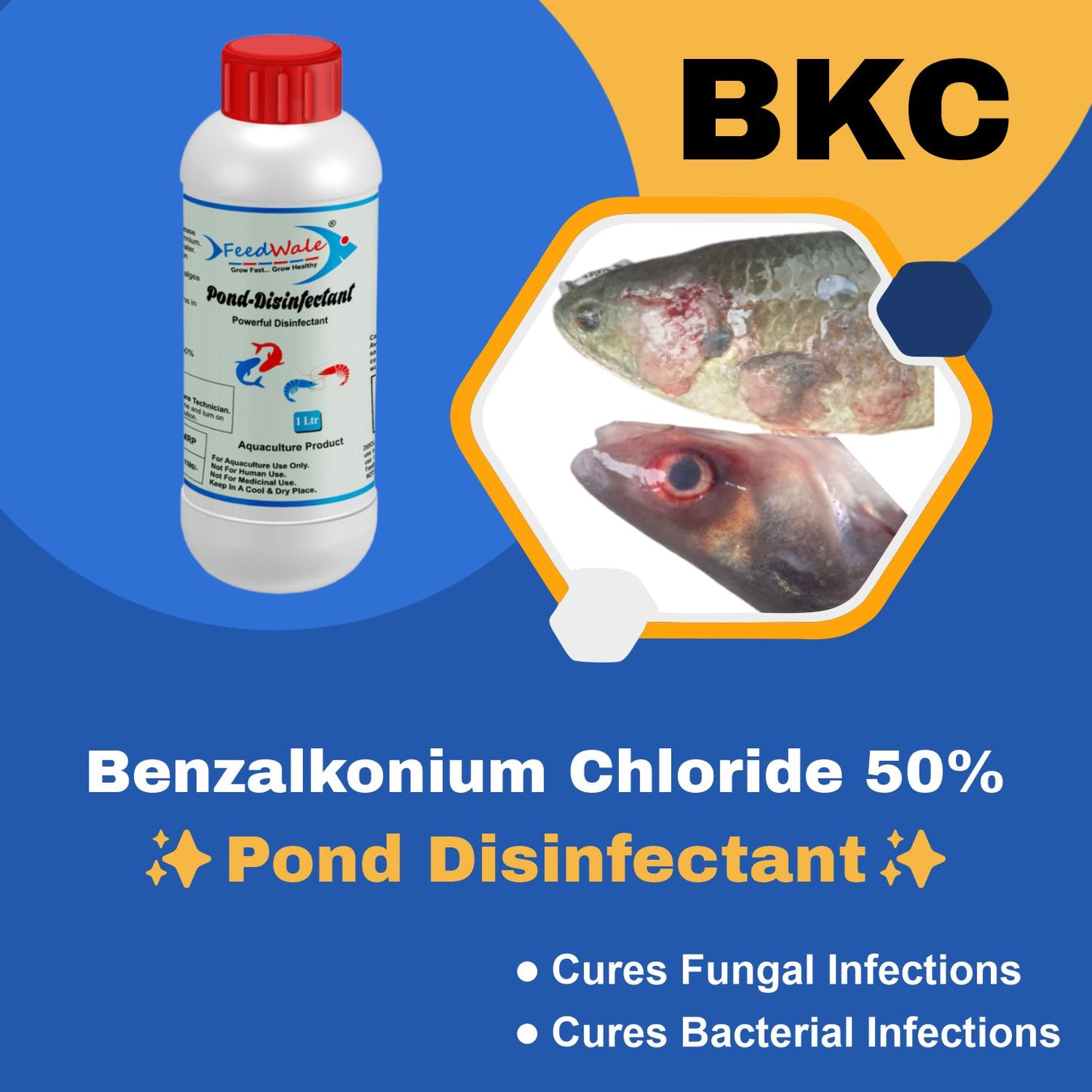 water treatment for fish farming
