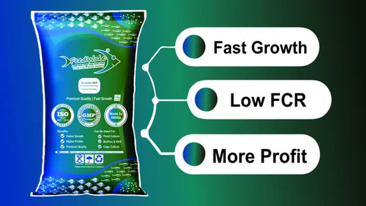 best starter fish feed company in india