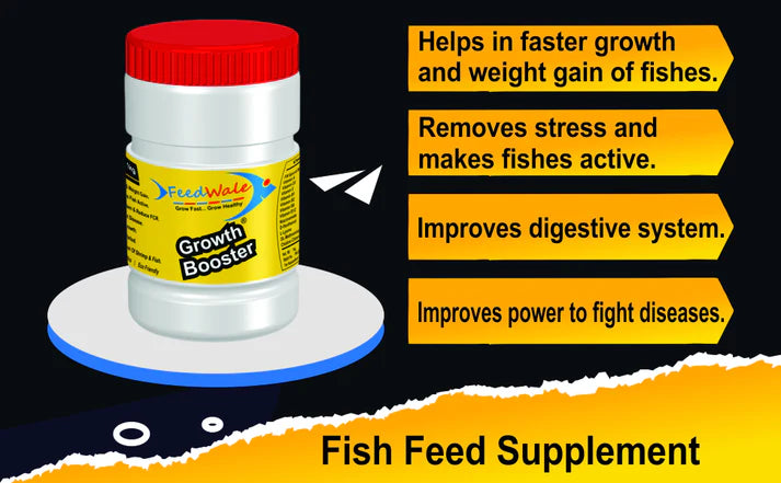 fish booster price