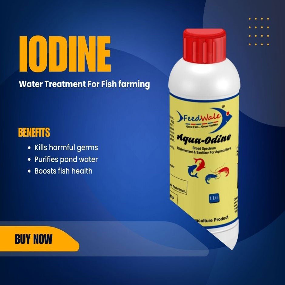 iodine for fish treatment