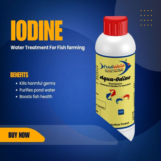 iodine for fish treatment