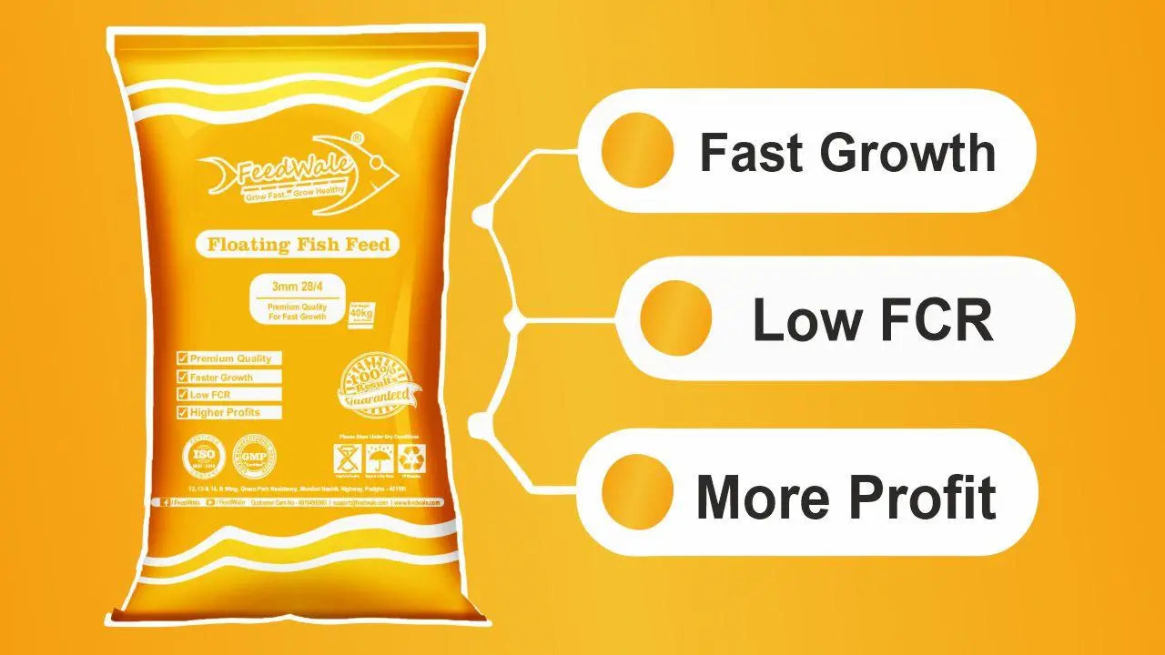 3mm Fish Feed