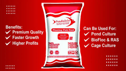 4mm 20/3 Premium Fish Feed