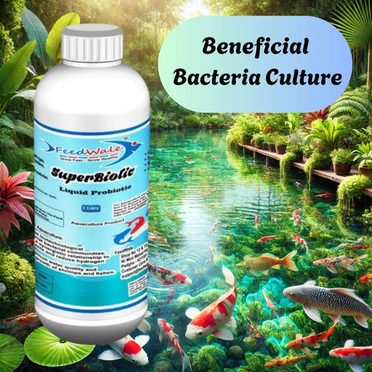 liquid probiotics for fish