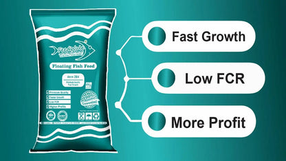 Best Fish Feed for Fast Growth