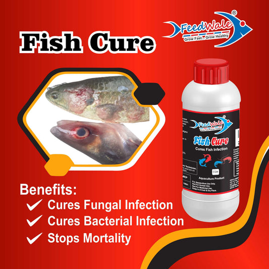 FeedWale Fish Cure bkc 80% for aquaculture 