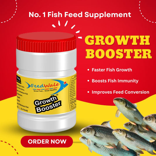 Growth Booster For All Kind Of Fishes