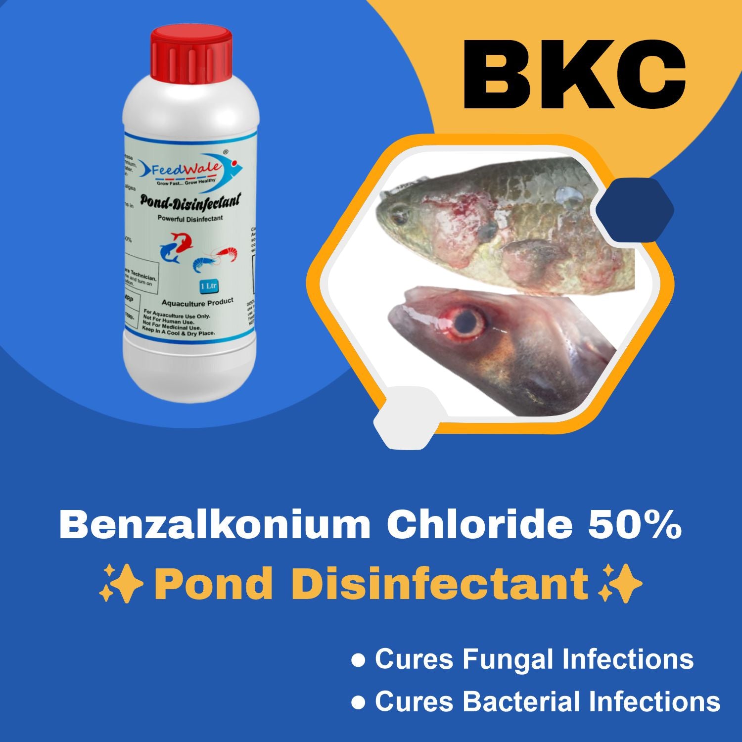 water treatment for fish farming