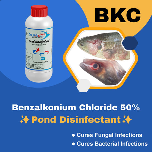 water treatment for fish farming