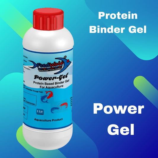 binding gel for aquaculture