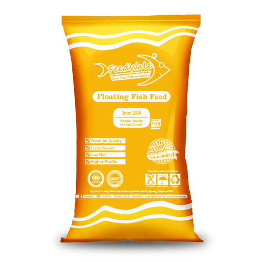 Premium Quality Fish Feed – FeedWale 3mm