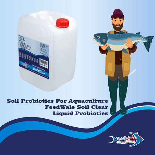 Soil Clear FeedWale