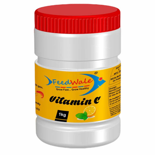 best for fish