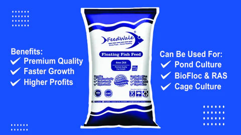 best floating fish feed 