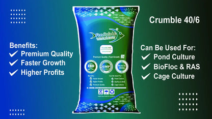 best starter fish feed