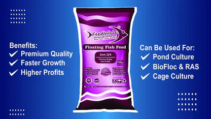 juvenile fish feed