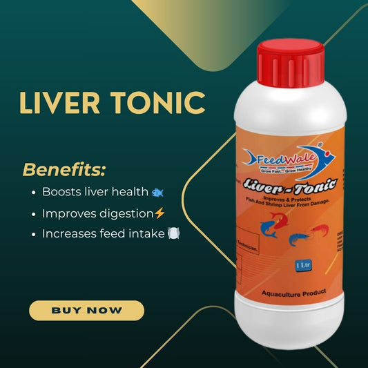 FeedWale liver tonic 