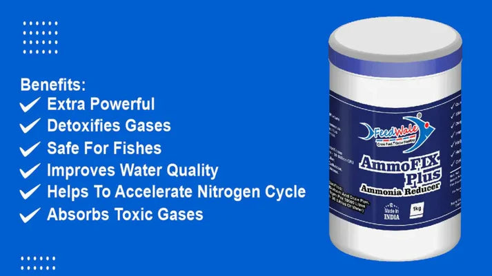water treatment for fish farming